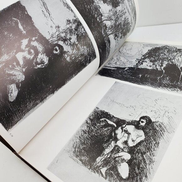 Graphic Art Pre-Impressionists by Melot, Abrams 1981 HCDJ Book Fully Illustrated - Picture 4 of 11